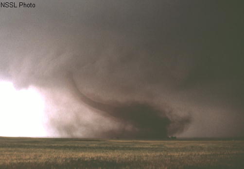 tornado alley pictures. severe-wx / Tornadoes