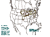 1300 UTC Large hail probabilities graphic